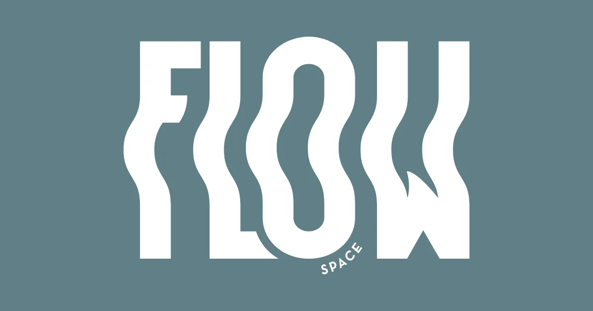 The Flow Space