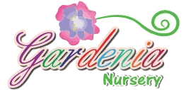 Gardenia Nursery - The Greens, Dubai