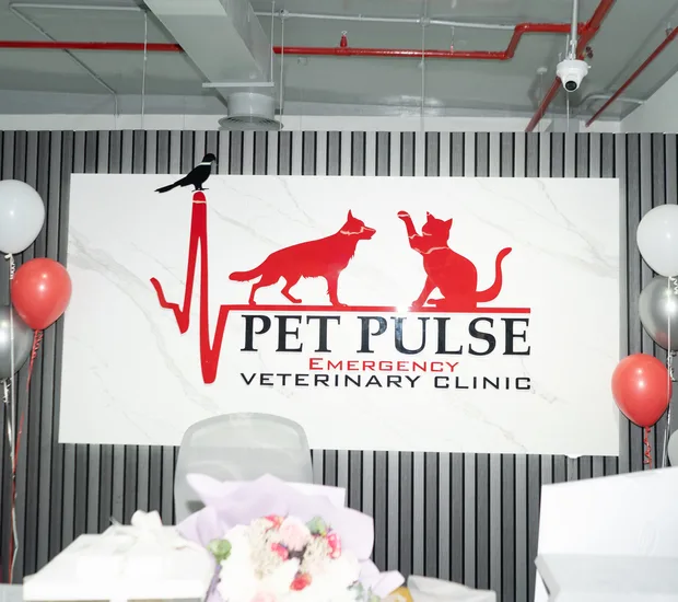 Pet Pulse Emergency Veterinary Clinic - Mirdif Dubai