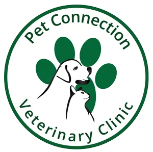 Pet Connection Veterinary Clinic Dubai Al Barsha 1