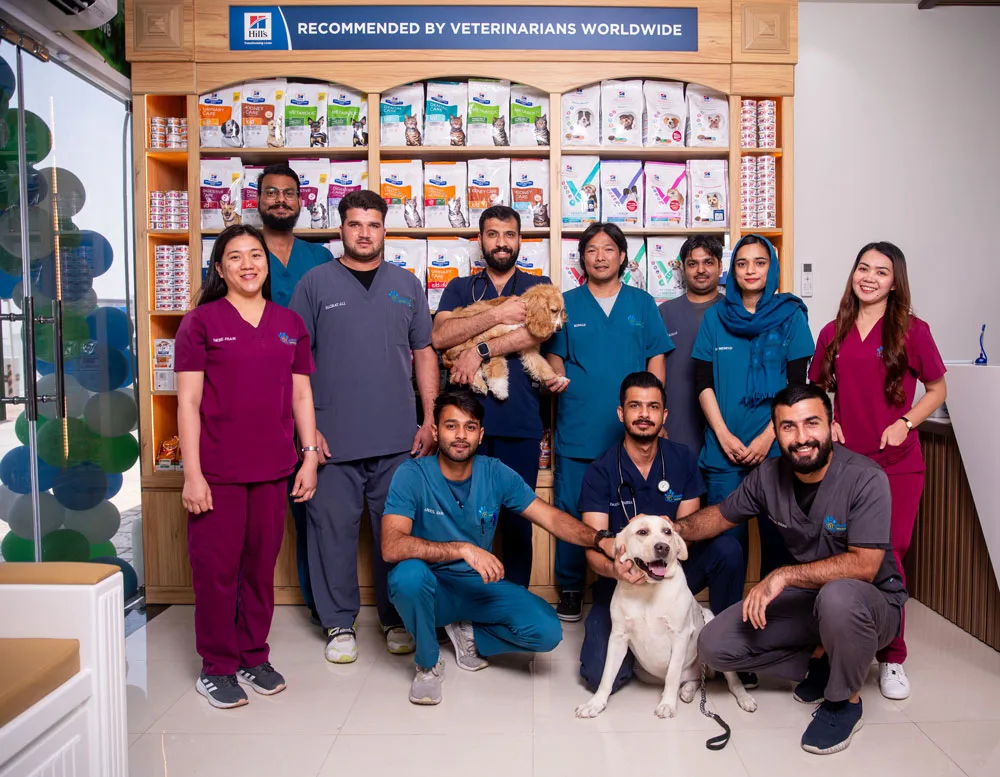 Pawsitive Veterinary Clinic - Motor City