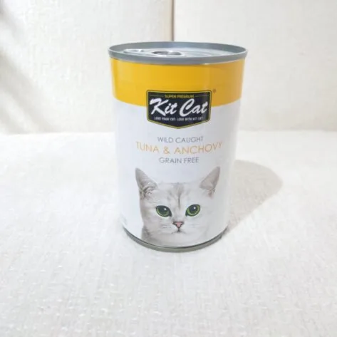 Luxury Paw Pet Grooming Dubai