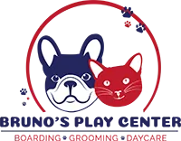 Bruno's Play Center - Pet Boarding, Daycare & Grooming in Dubai