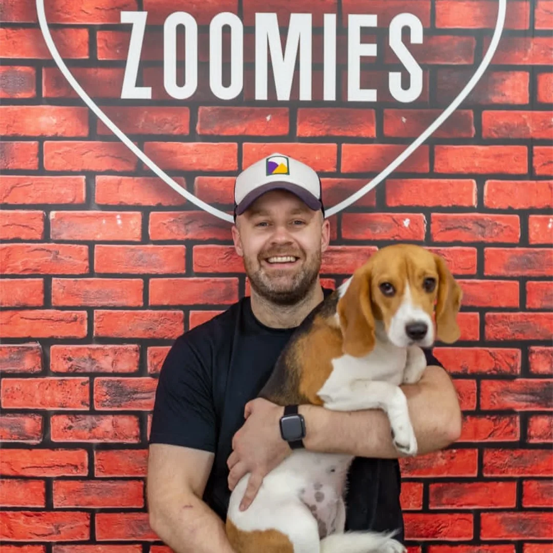 Zoomies Dog Daycare & Dog Boarding