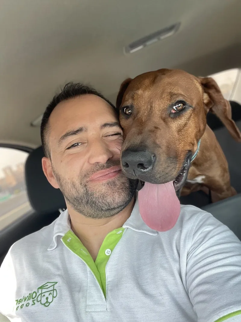 Olivier Zoppi Dog Psychology Center - Meydan