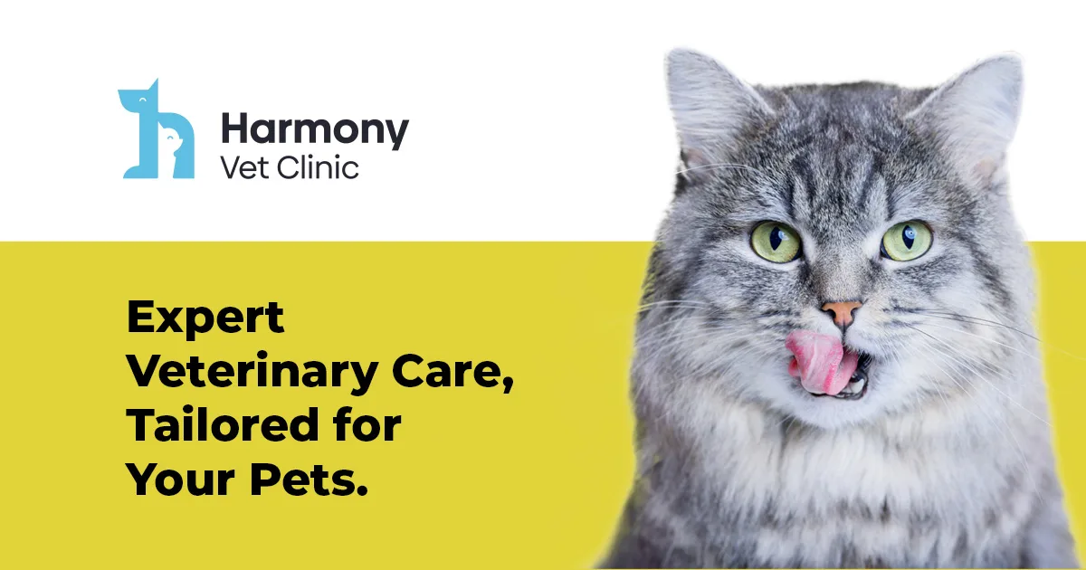 Harmony Vet Clinic