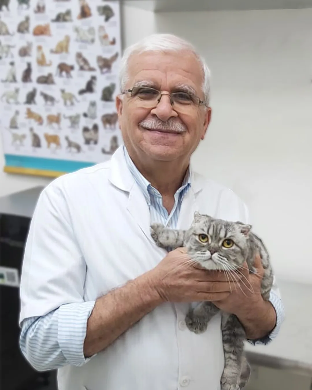 Al Hayat Veterinary Clinic