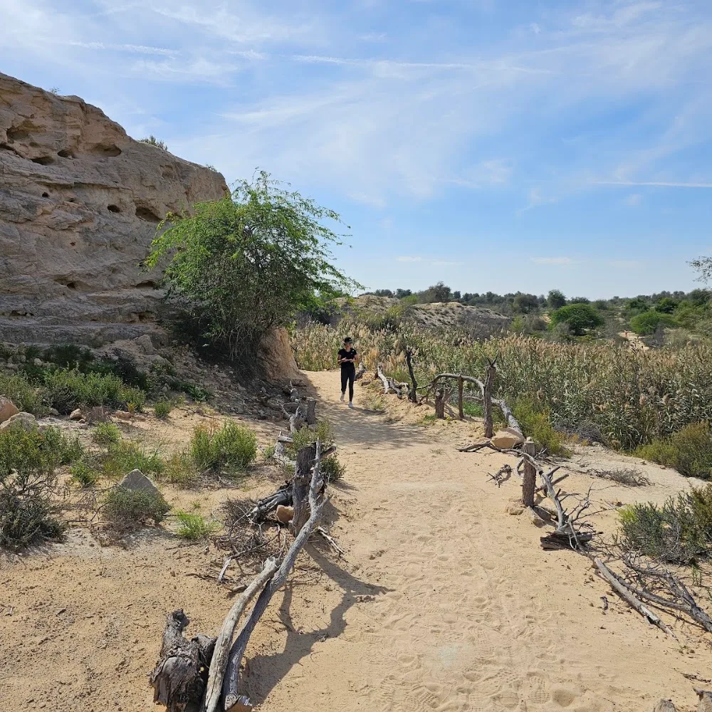 Mushrif Park Hiking Trail