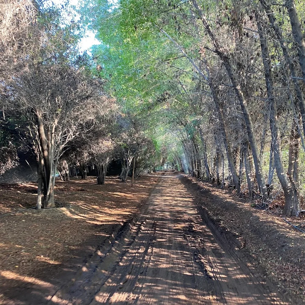 Wasit Wetland Nature Park | منتزه واسط للأراضي الرطبة