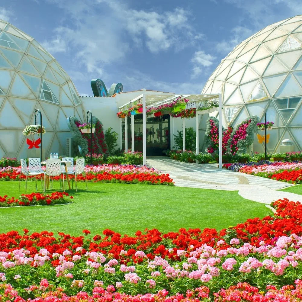 Dubai Butterfly Garden