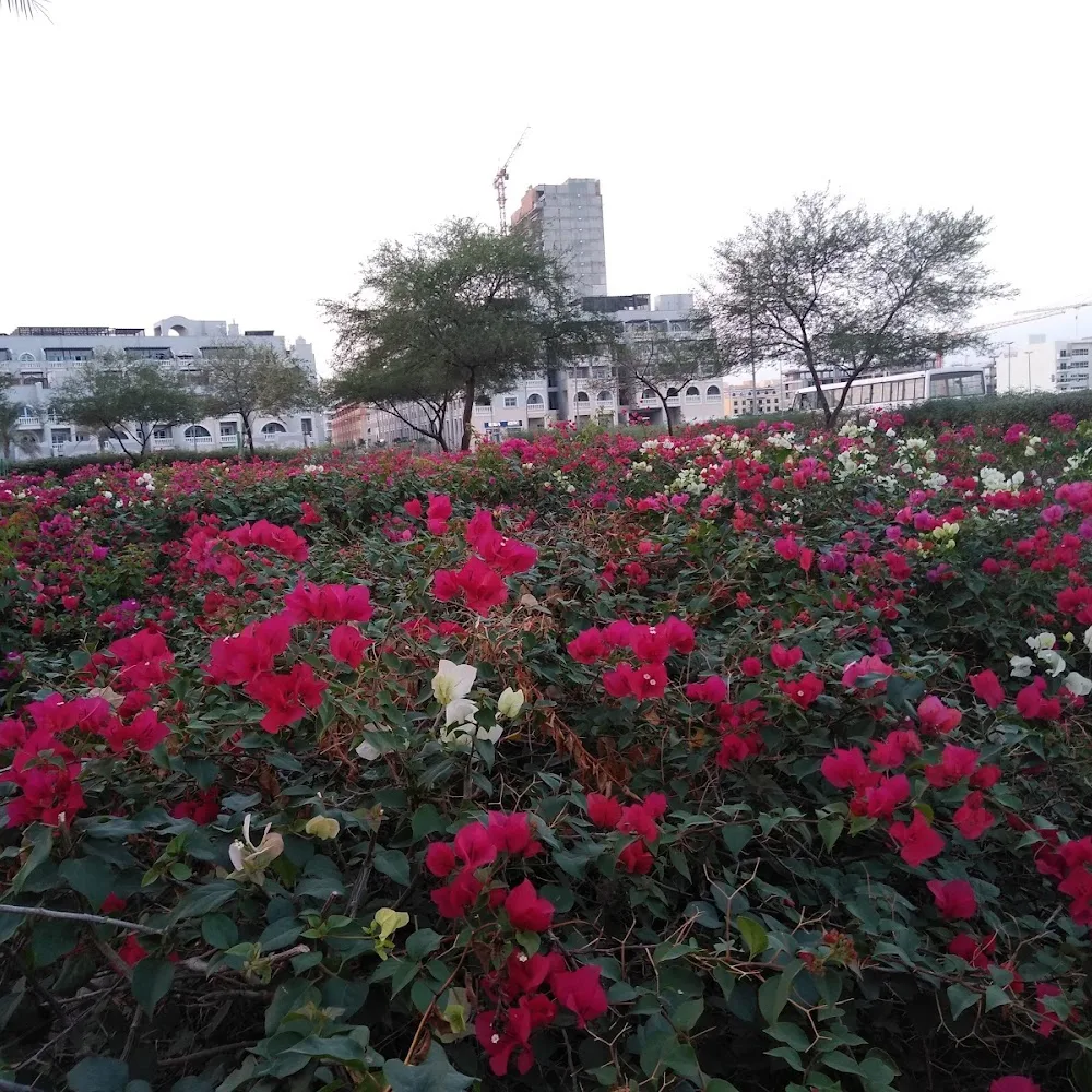 Garden@JVC