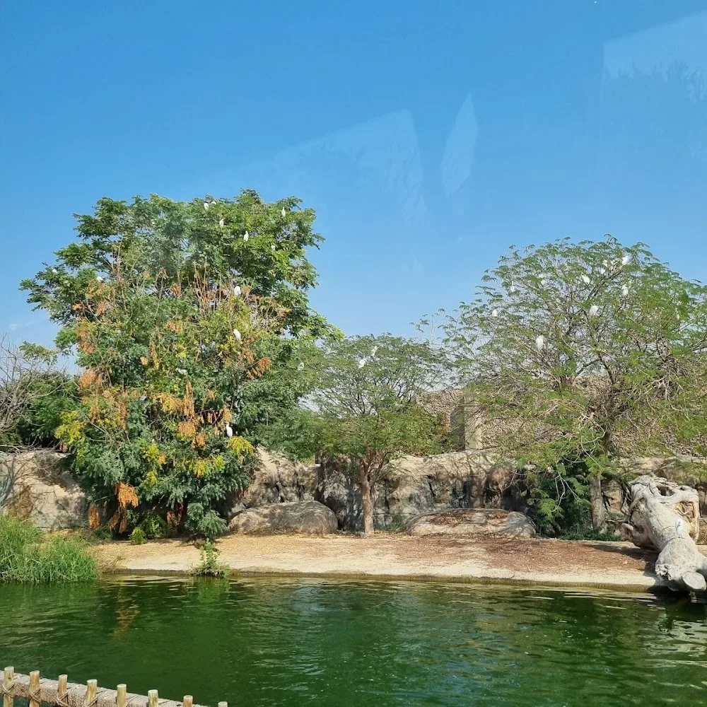 Dubai Safaris Tour
