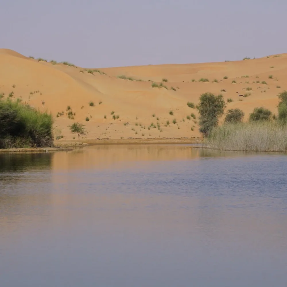 Dubai Desert Conservation Reserve Lake