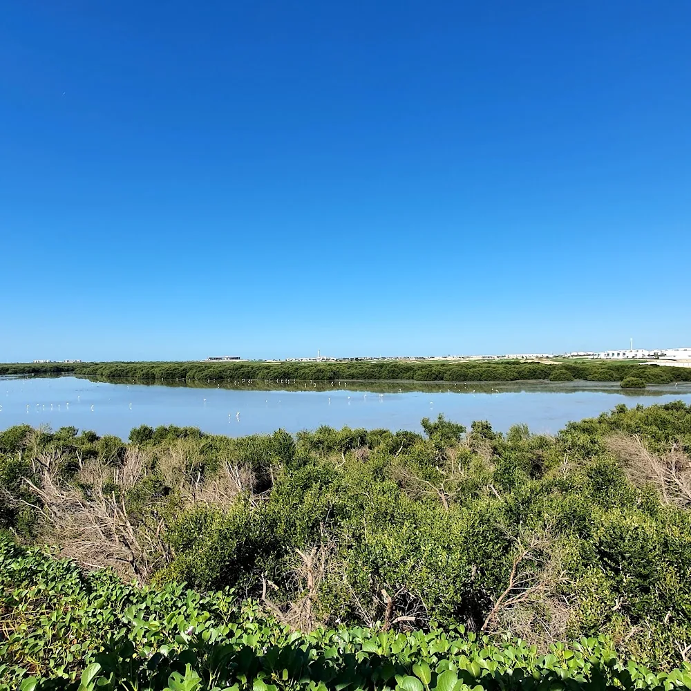 Al Zorah Natural Reserve