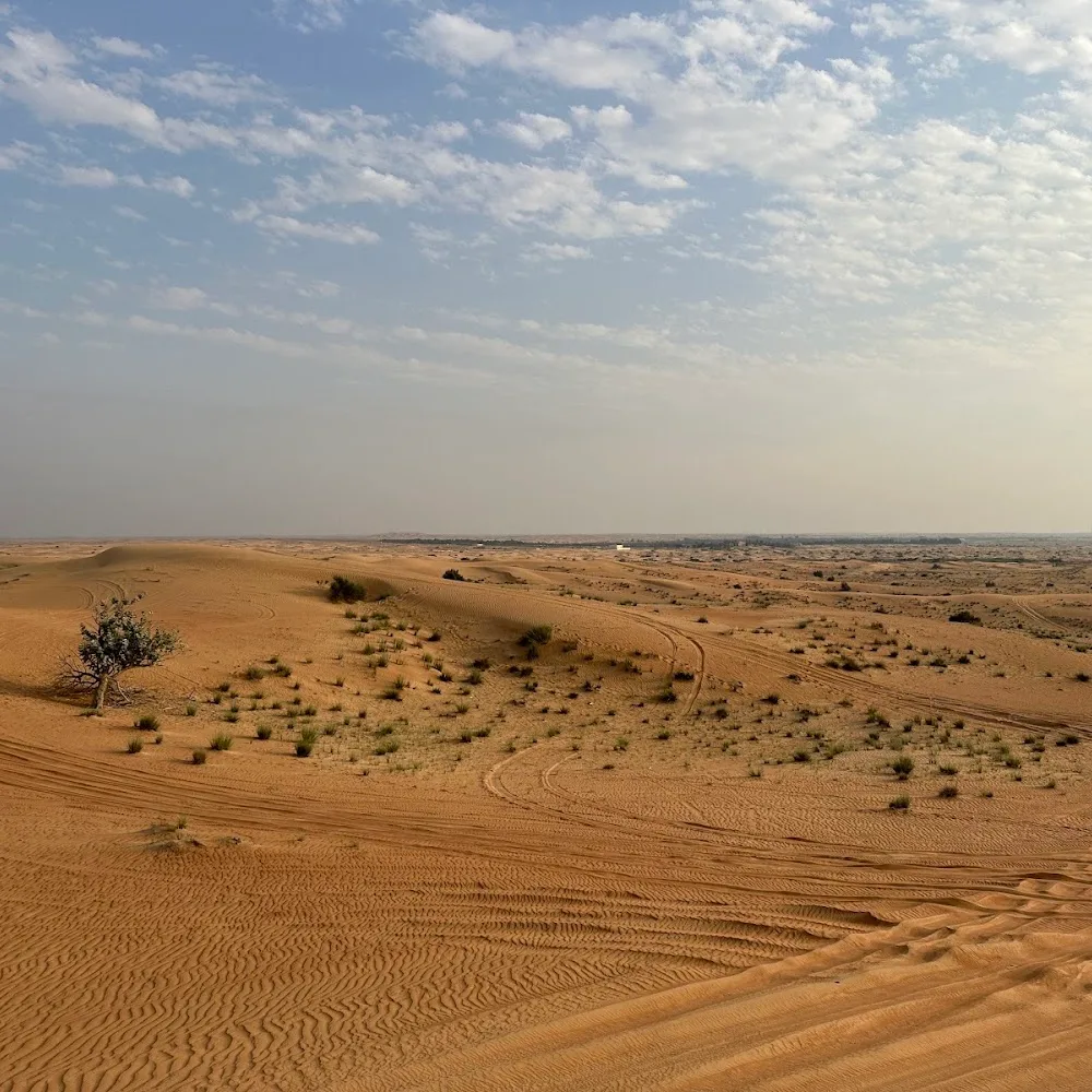 Dune Buggy Dubai