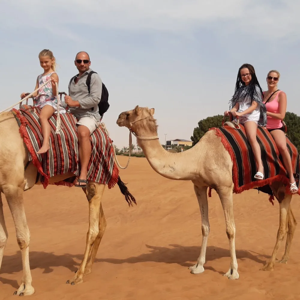 Dream Journey Tourism