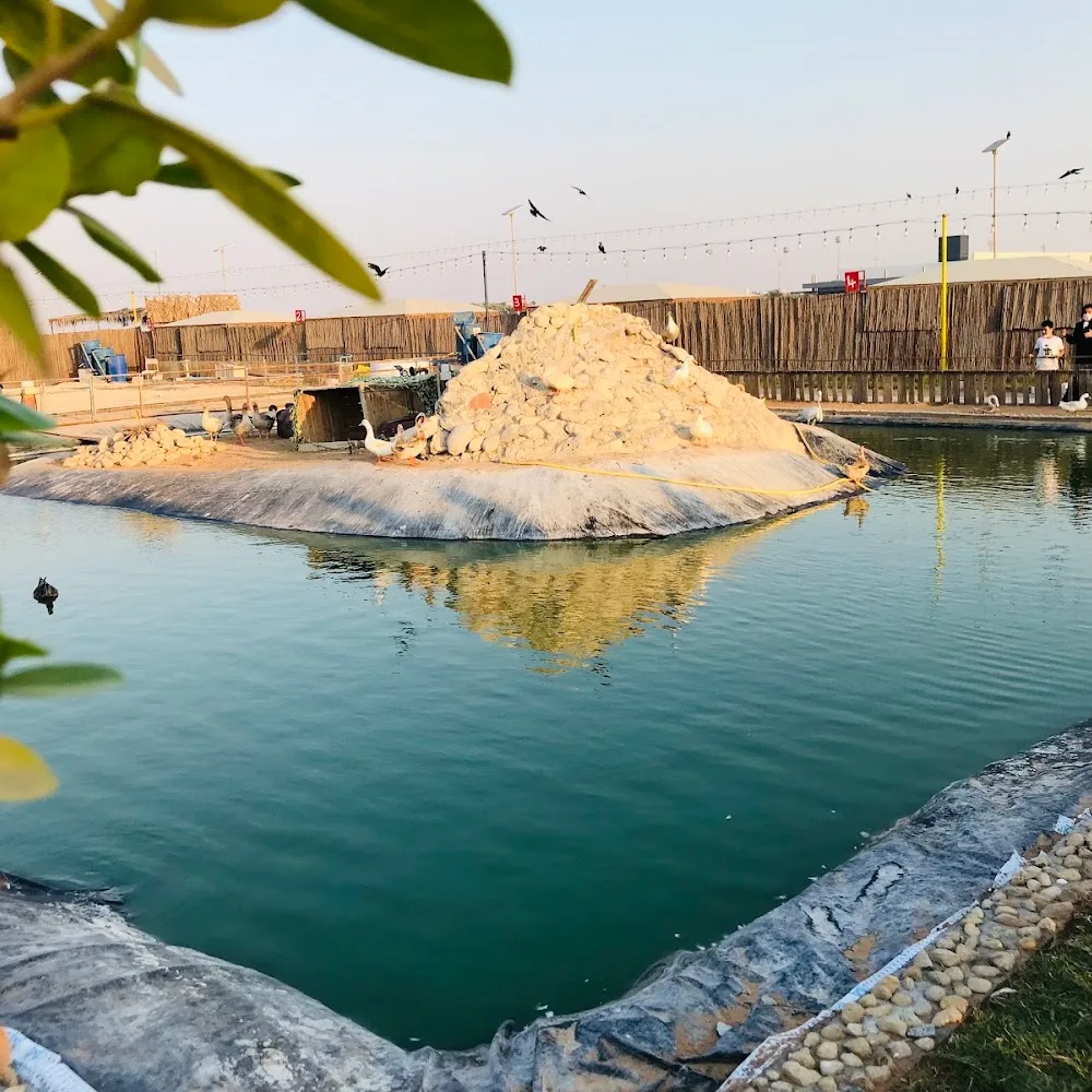 UAE Pygmy Zoo