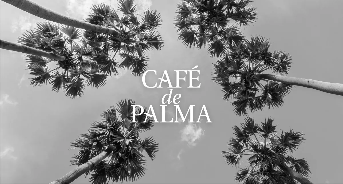 Café de Palma, Creek Harbour