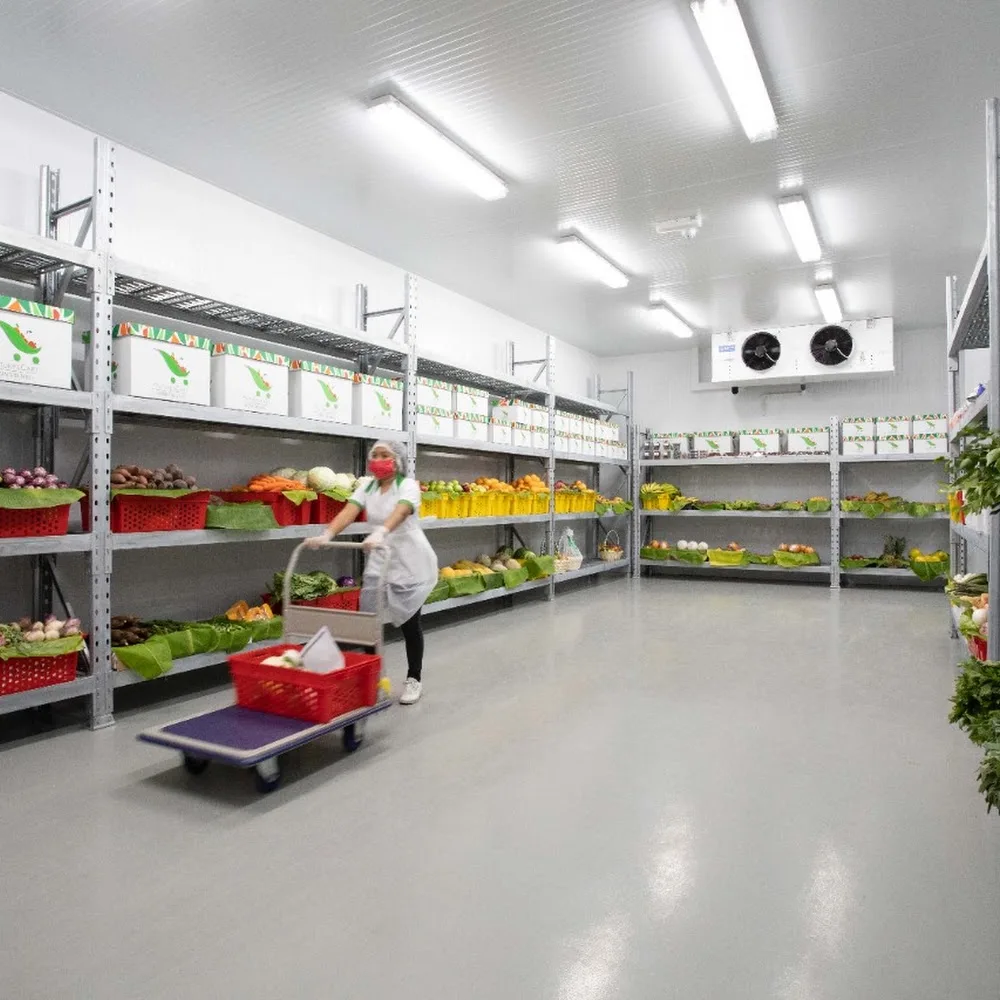 Nature's Cart - Buy Fresh Fruits and Vegetables Online in Dubai Sharjah - Order Fruits and Vegetables