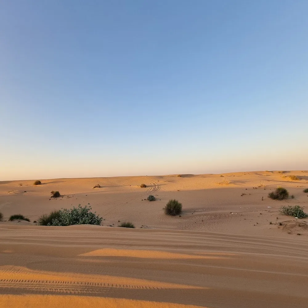 Evening Desert Safari Dubai Deals