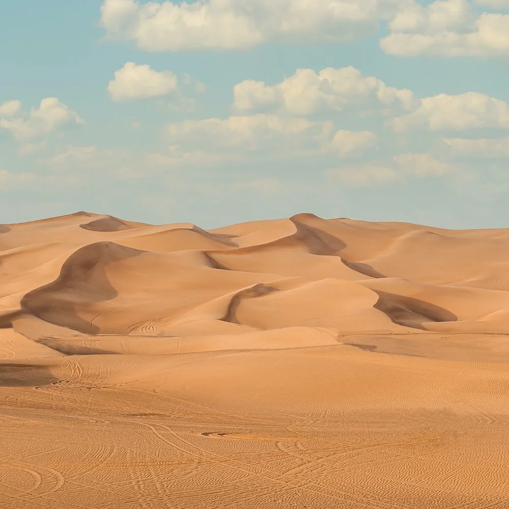Desert Safari Dubai By Capture Desert