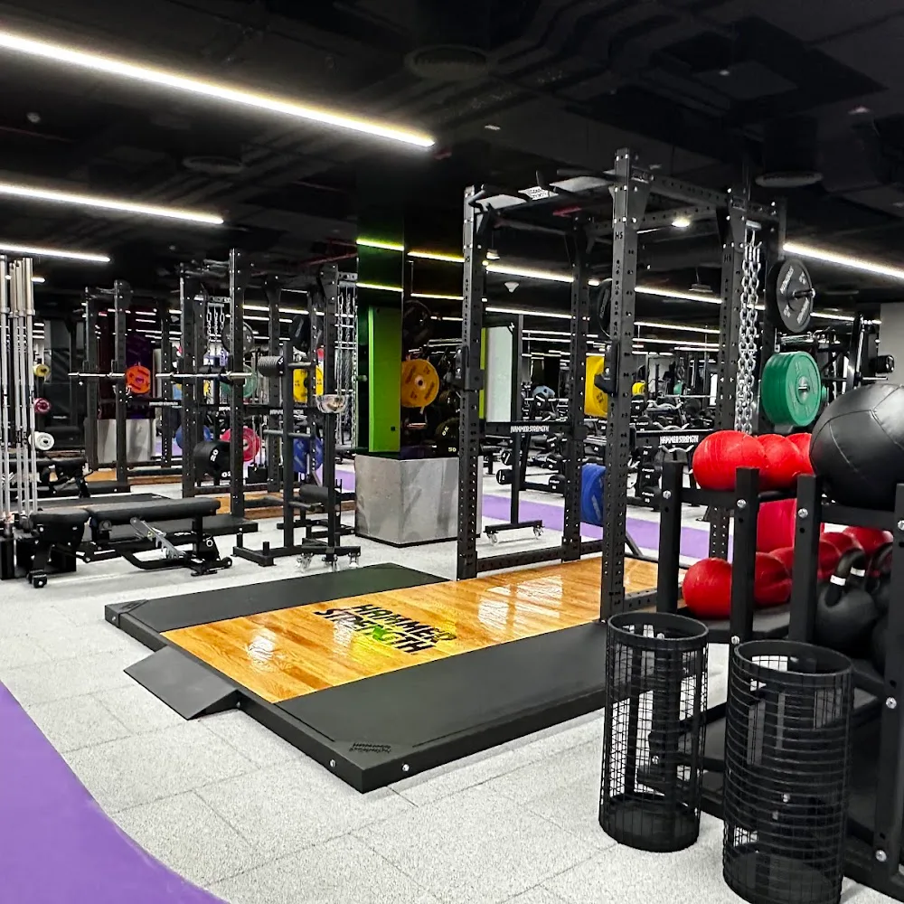 Wellfit Marina