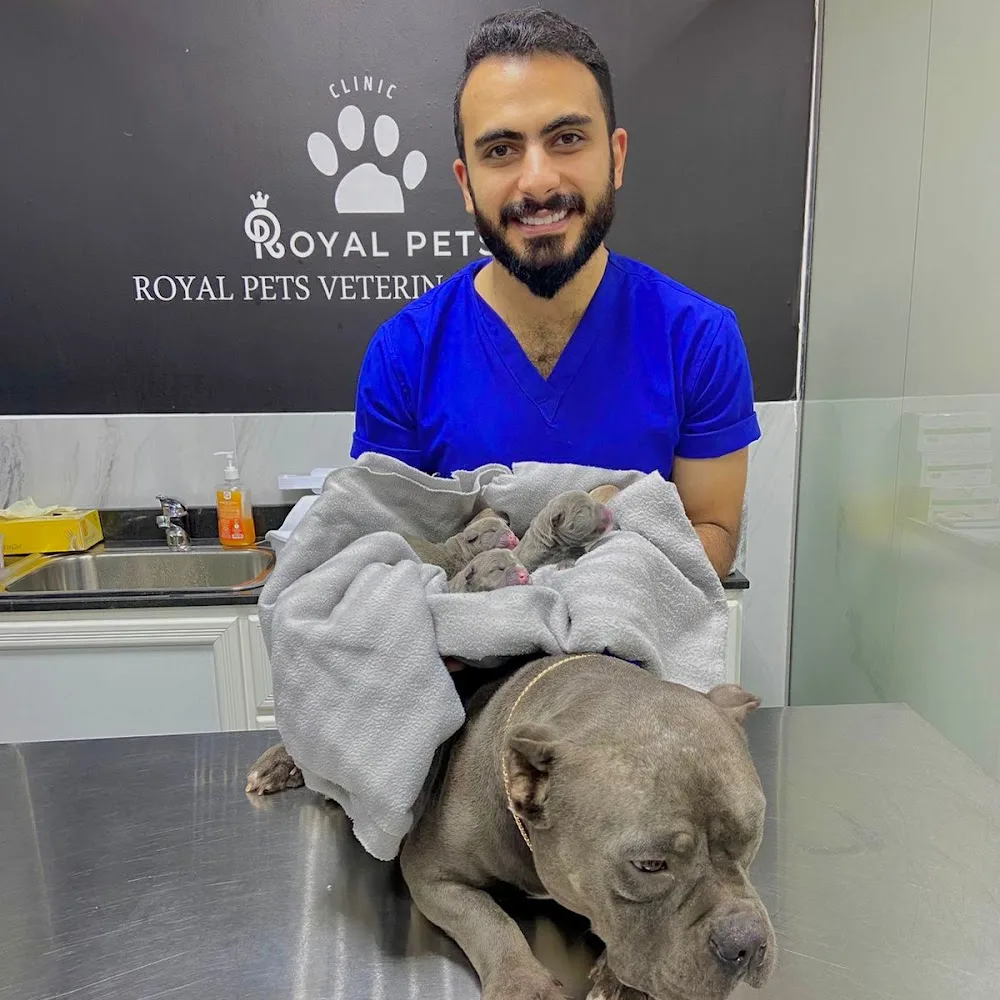 Royal Pets Veterinary Clinic