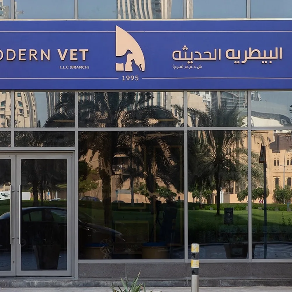Modern Vet Downtown