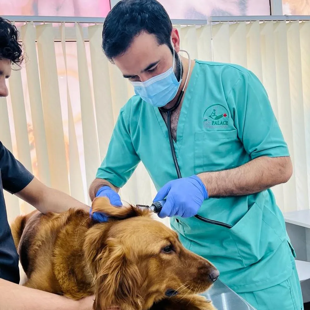 Pet Palace Veterinary Clinic