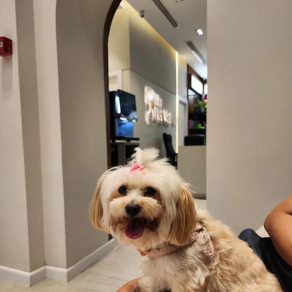 The Pet Vet