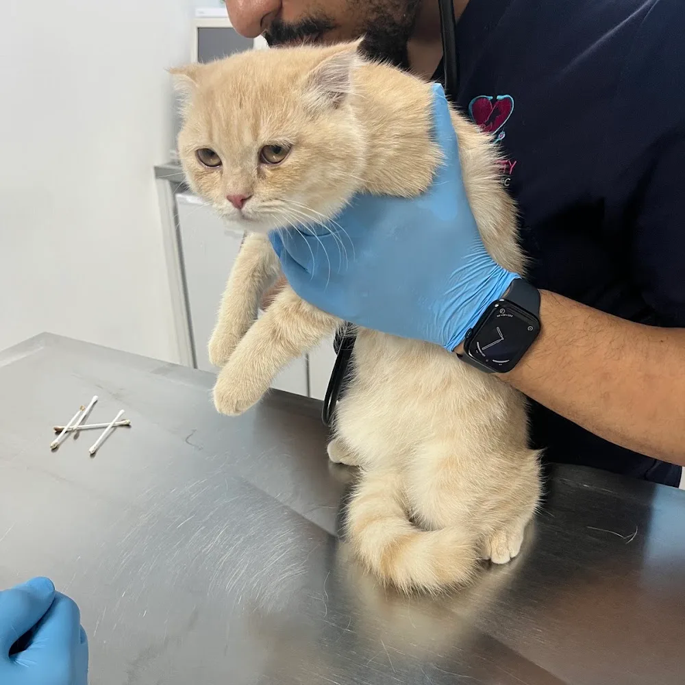Pets Society Veterinary Clinic