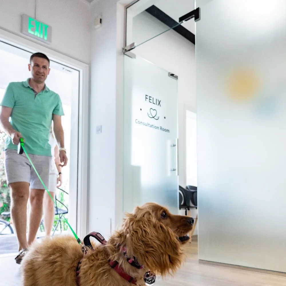 VETS & PETS Dubai - Italian Veterinary Clinic