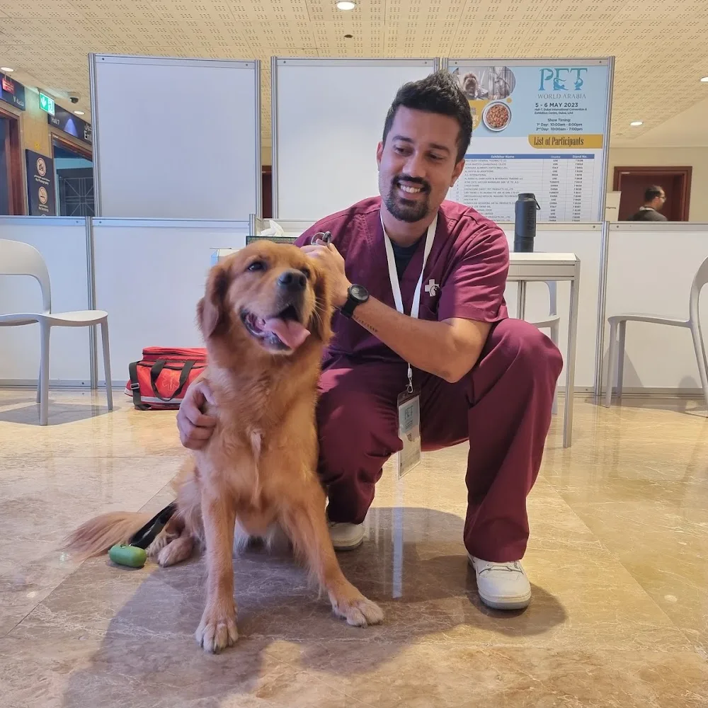 Vets in the City Veterinary Clinic