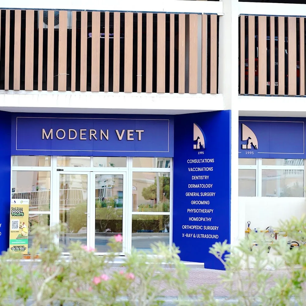 Modern Vet JVC