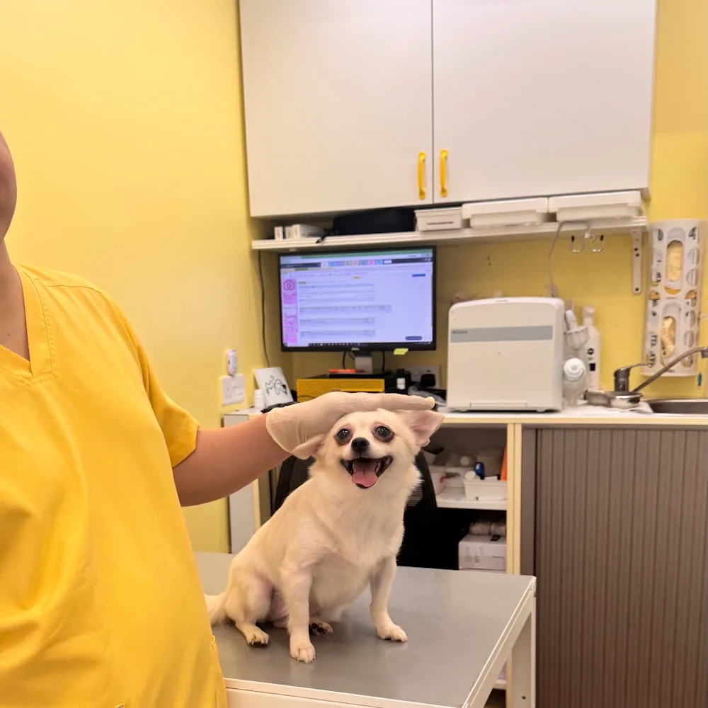 Happy Paws Veterinary Clinic LLC