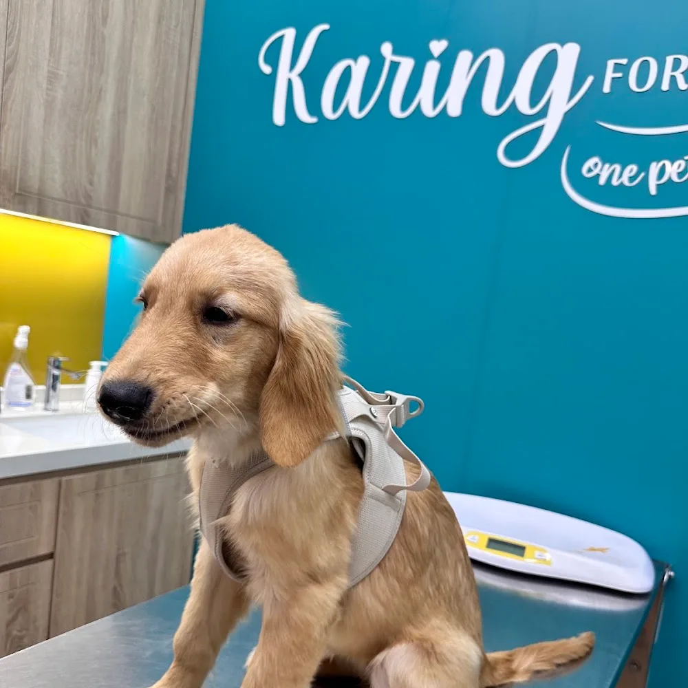 Kare Veterinary Clinic LLC