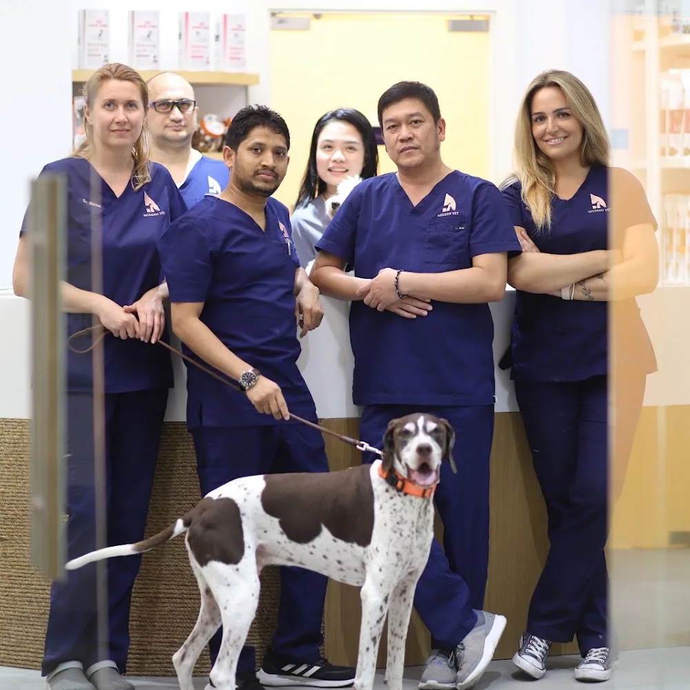 Modern Vet Palm