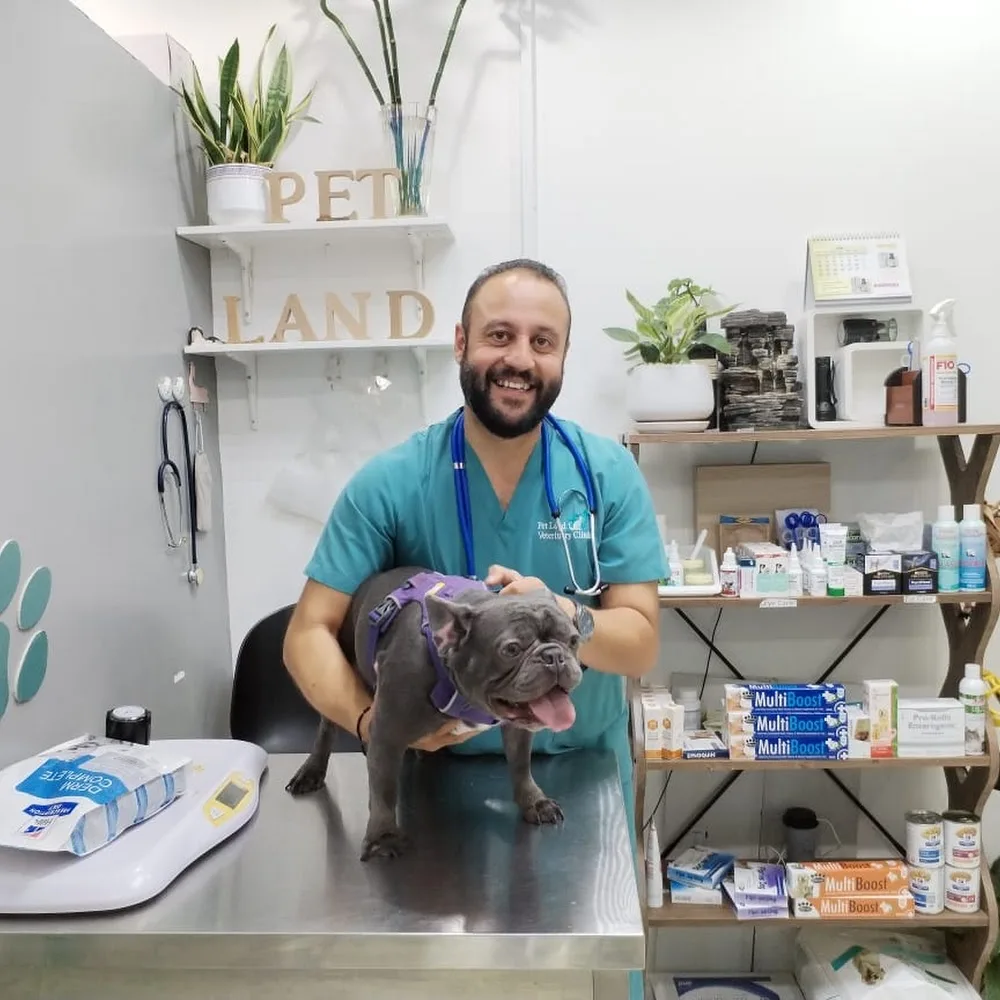 Pet Land Veterinary Clinic - Mirdif أفضل عيادة حيوانات أليفة بالقرب مني في مردف