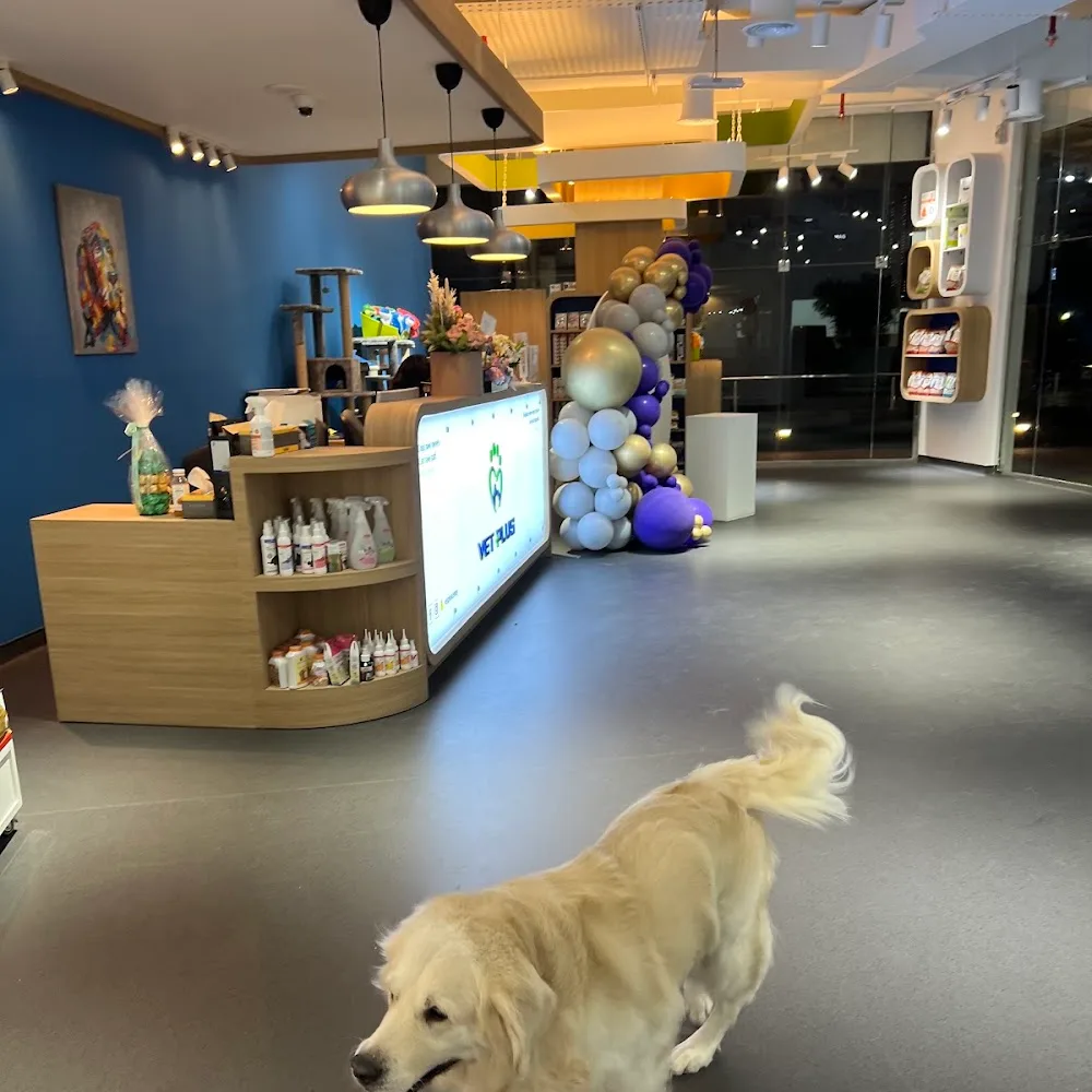 Vet Plus | Вет Плюс