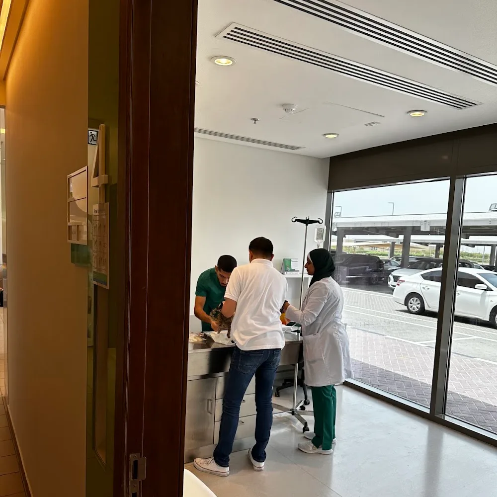 VetDUB Veterinary Clinic