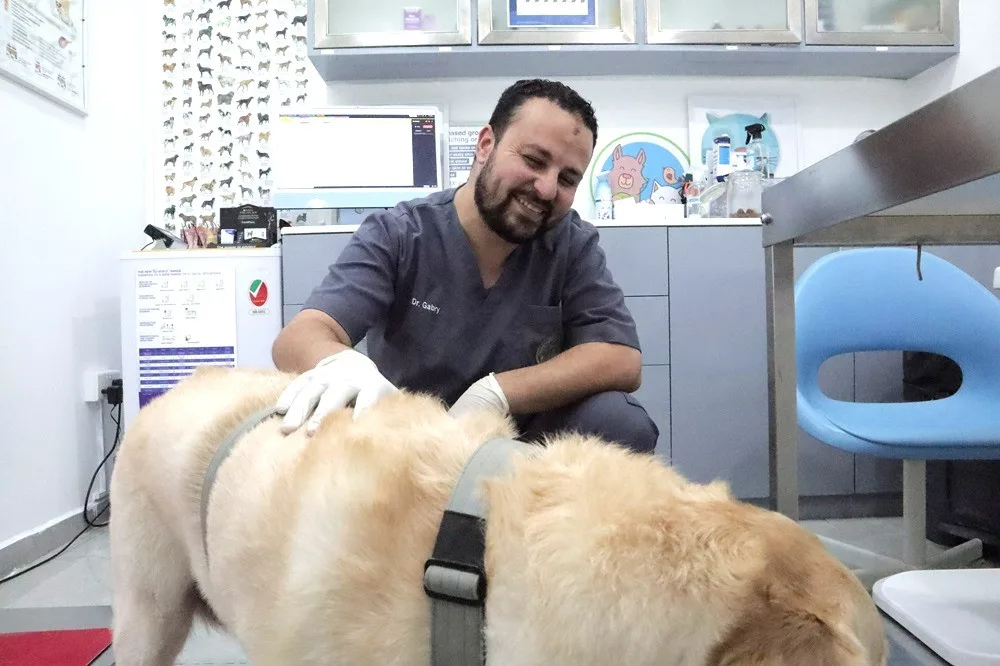 JVC Express Veterinary Clinic
