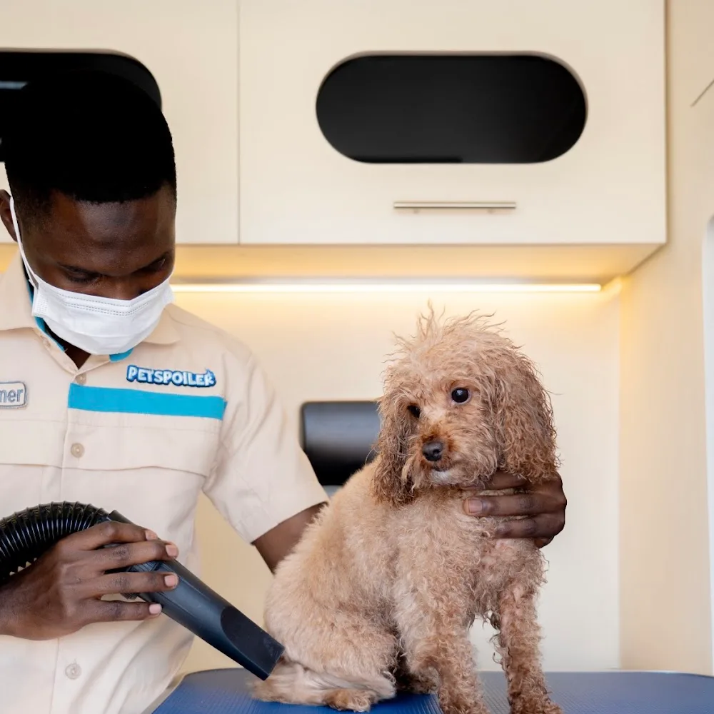 Petspoiler Pet Grooming - Mirdif