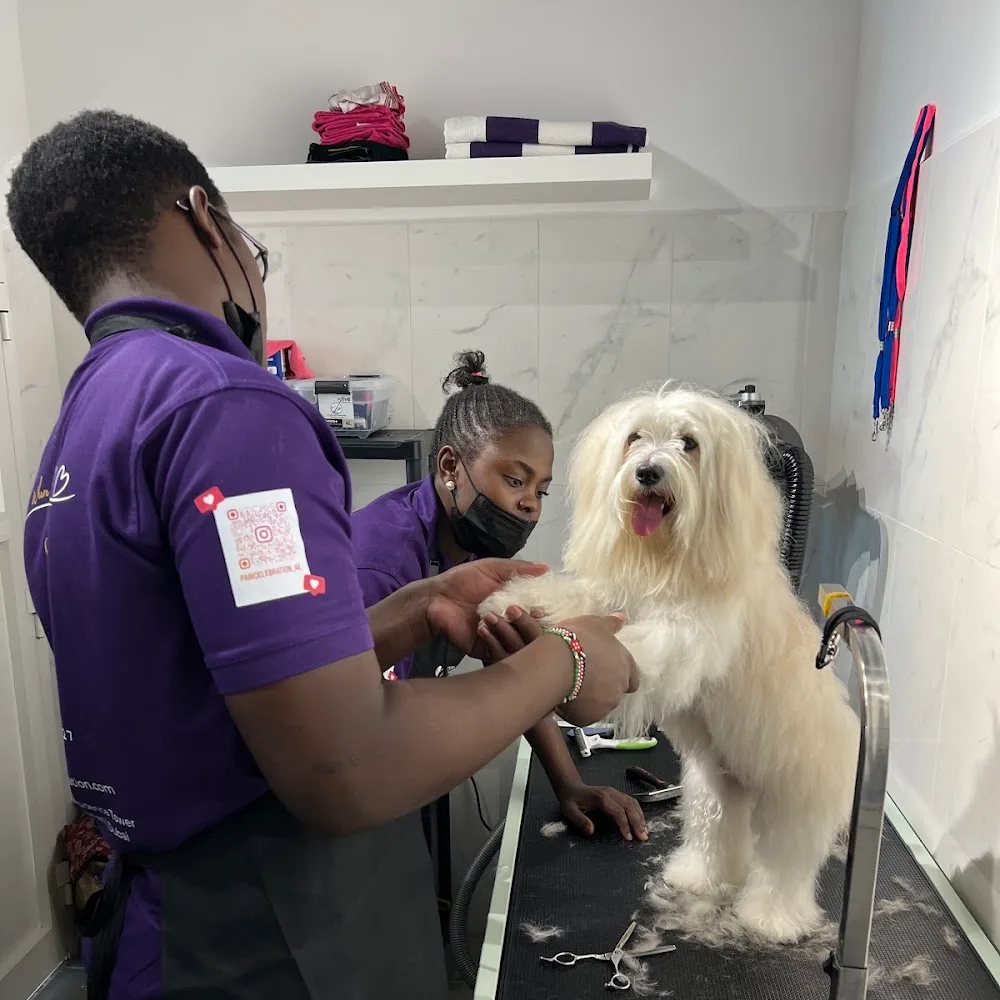 Paw Celebration Pet Grooming & Boutique