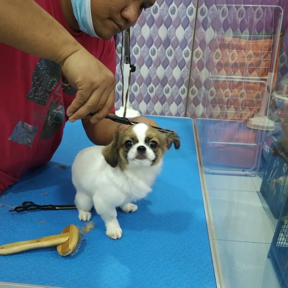 Fur & Tails L.L.C. Pet Shop and Pet Grooming Center Spa