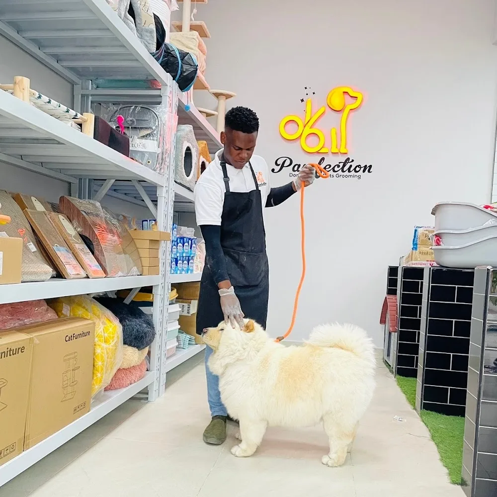 Pawfection Domestic Pets Grooming