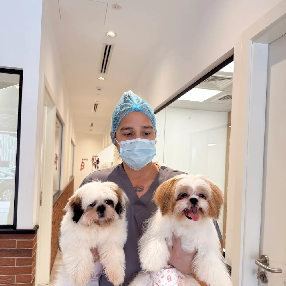 PeTiPaws Grooming & Boarding