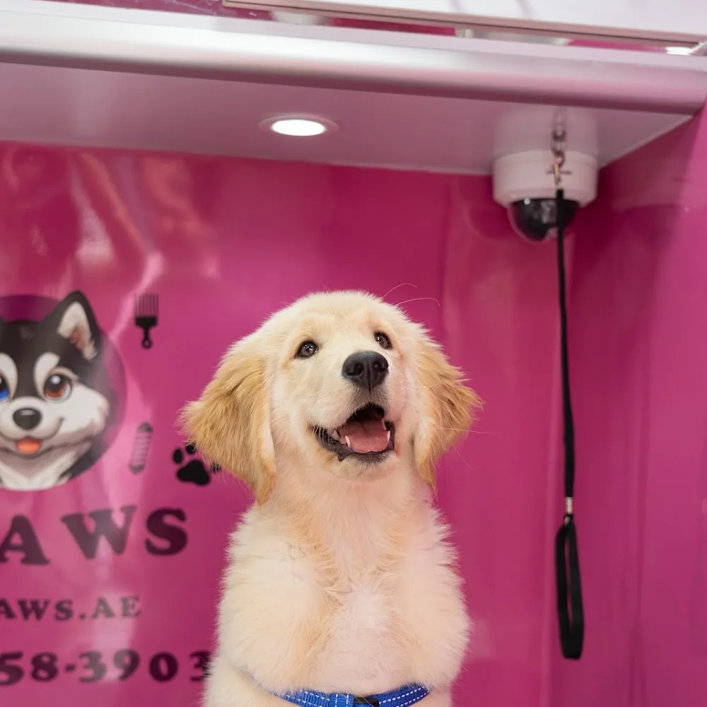 Four Paws Mobile Pet Grooming