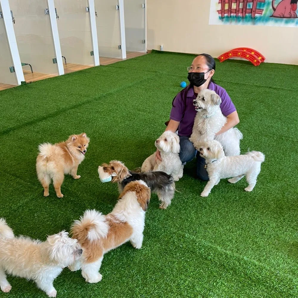 Petzania