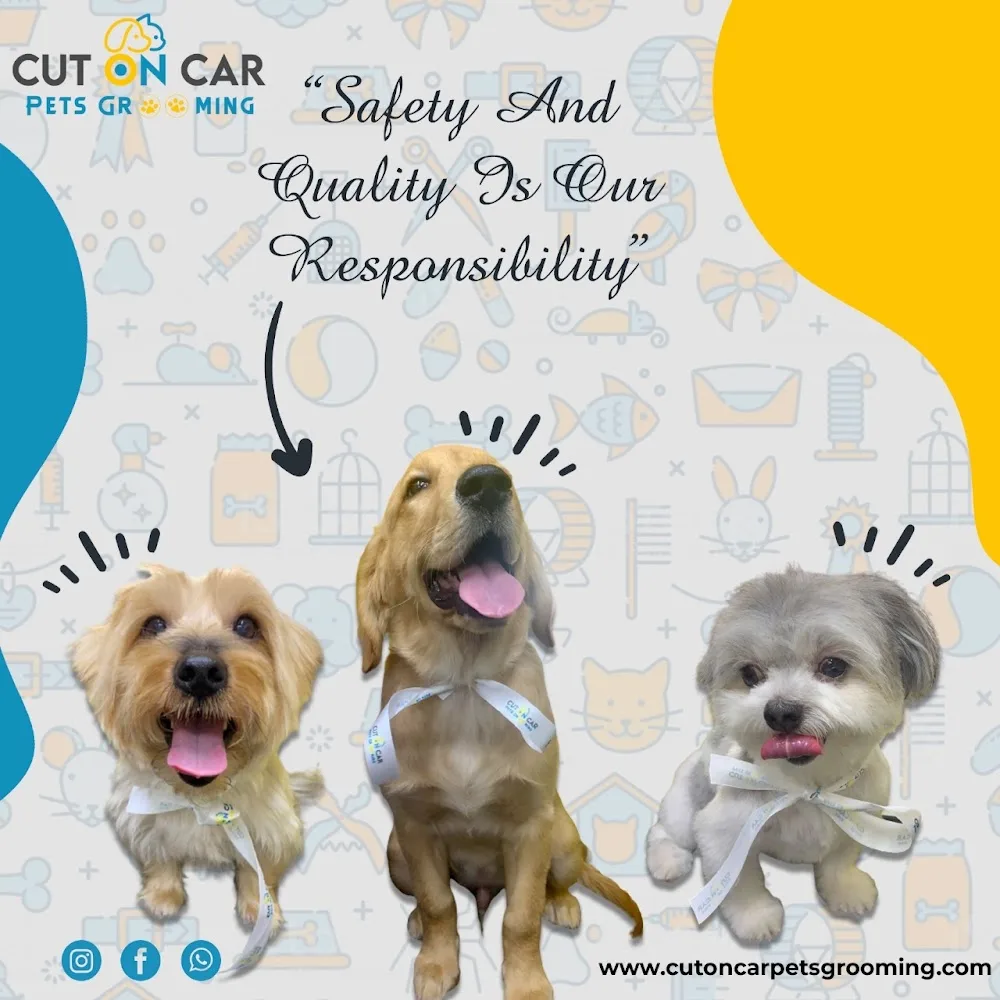 Cut On Car Pets Grooming LLC