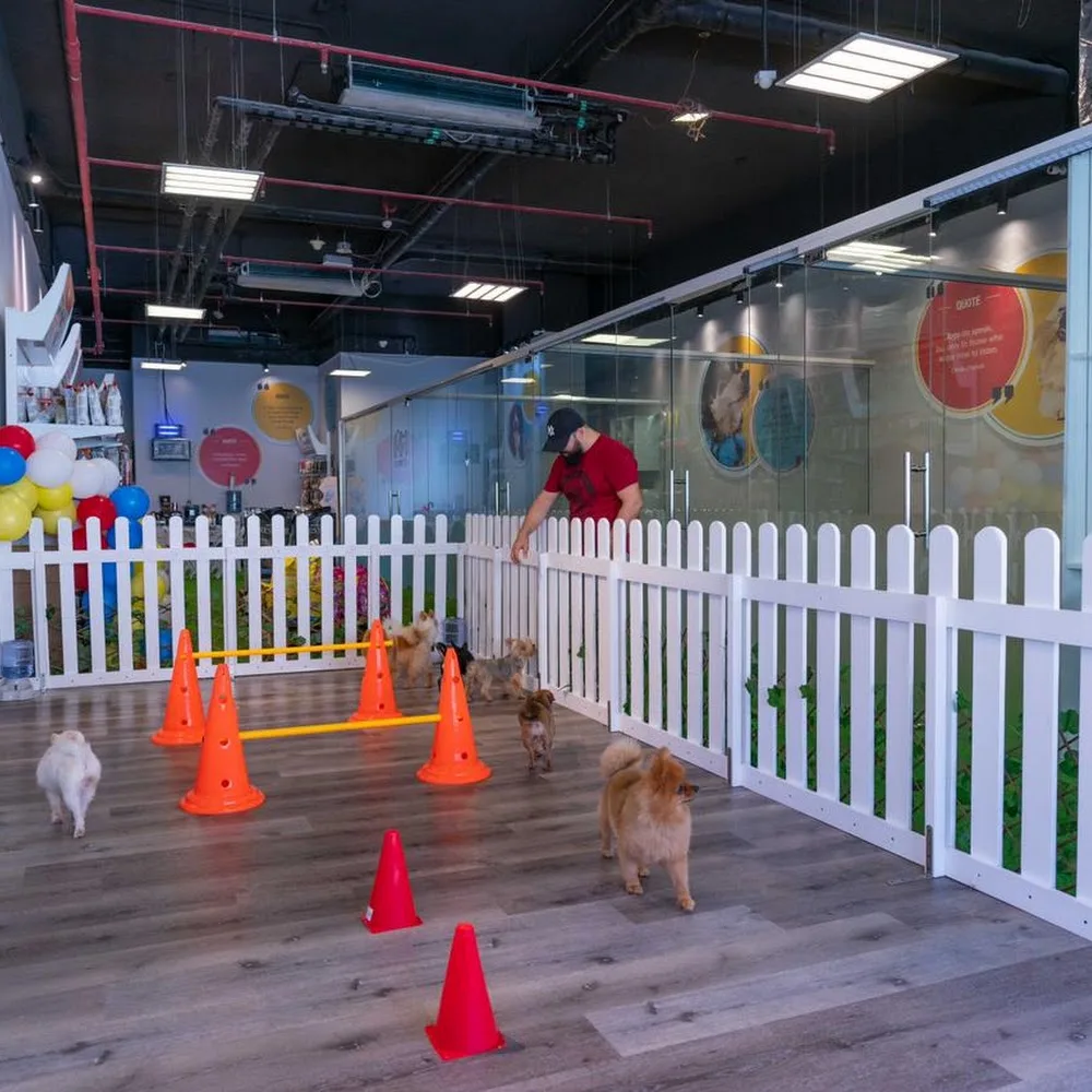 The Pet Co